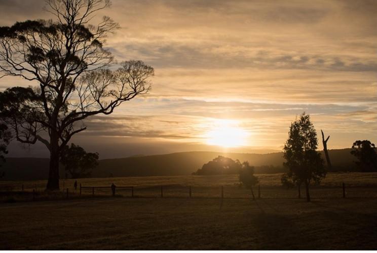 Rooks Edge Bed & Breakfast Gisborne Exterior photo